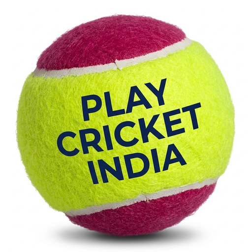 Play Cricket India logo